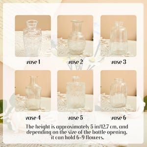 May include: Six clear glass vases labeled vase 1 through vase 6, each with a unique shape and texture. The text states the height is approximately 5 inches, and depending on the size of the bottle opening, it can hold 6-9 flowers.