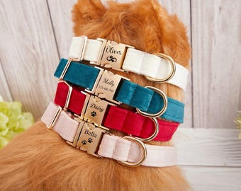 Set collare e guinzaglio per cani in velluto con fiocco, nome personalizzato inciso per animale domestico
