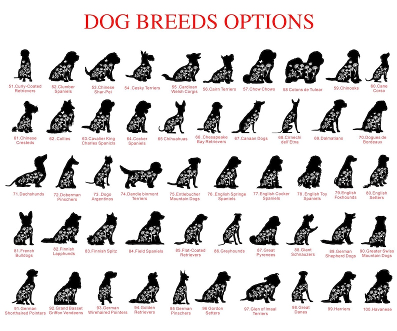 May include: A black and white graphic featuring silhouettes of various dog breeds, each adorned with floral patterns. The title "DOG BREEDS OPTIONS" is displayed in red at the top. Breeds include Retrievers, Spaniels, and Terriers.