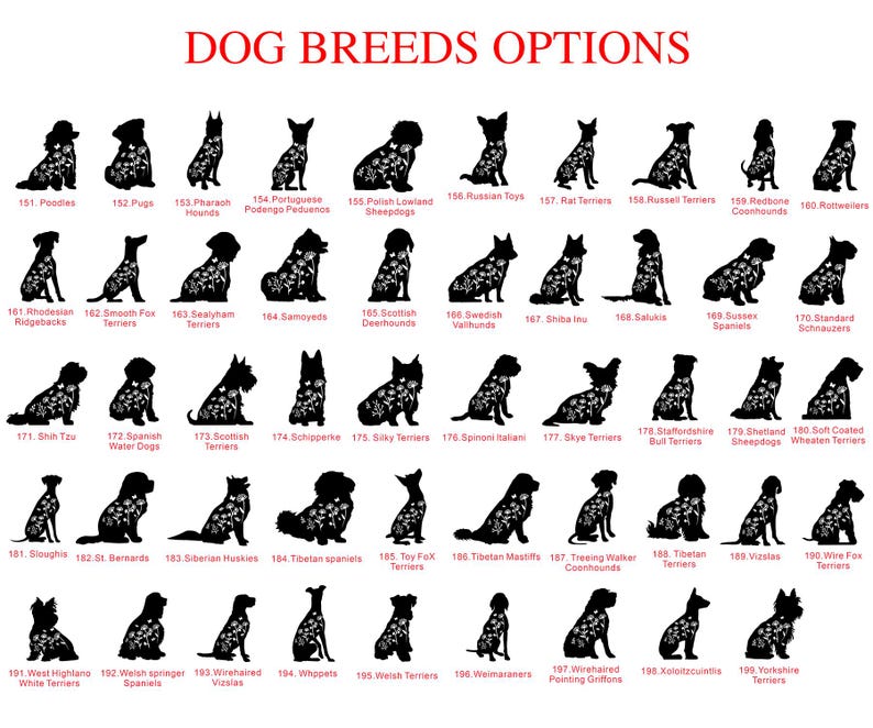 May include: A graphic featuring silhouettes of various dog breeds, each adorned with floral patterns. The text "DOG BREEDS OPTIONS" is displayed at the top. Breeds include Poodles, Pugs, and Rottweilers.