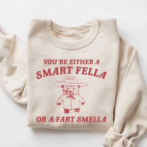 Are You A Smart Fella Or Fart Smella Retro Cartoon T Shirt, Weird T Shirt, Meme T Shirt, Trash Panda T Shirt, Unisex Y2k Shirt, Gift for him