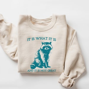 It Is What It Is And It Is Not Great Sweatshirt, Vintage Sweatshirt, Raccoon Sweatshirt, Mental Health Sweatshirt, Funny Sweatshirt Women