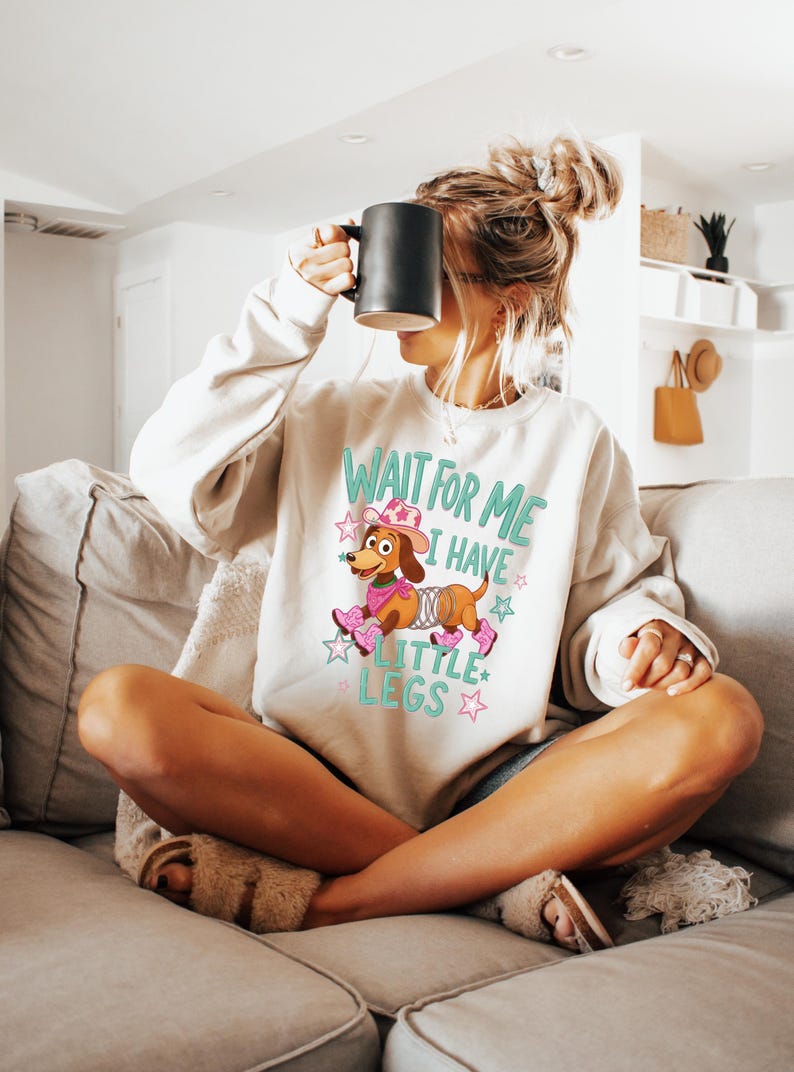Puede incluir: Una sudadera beige de cuello redondo con un gr&aacute;fico de un perro salchicha marr&oacute;n que lleva un sombrero de vaquero rosa, un pa&ntilde;uelo rosa y botas rosas. El perro tiene un cuerpo de resorte plateado. El texto dice WAIT FOR ME I HAVE LITTLE LEGS en turquesa.
