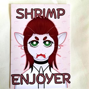 May include: A pink and white art print with a cartoon character. The character has red hair, green eyes, and pointed ears. The text "SHRIMP ENJOYER" is displayed in a dark red font above and below the character's face.