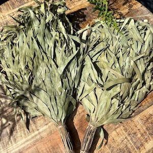 Set of 2 Eucalyptus Sauna Brooms – Handcrafted Natural Aromatic Sauna Essentials