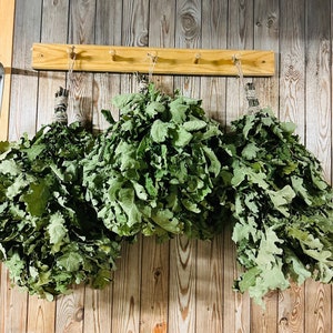 Set van 3 eiken saunabezems | Perfecte saunagardes voor de wellnessmaand augustus