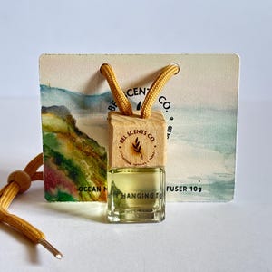 Aceites esenciales puros / Difusor de ambientador para coche / Difusor de aceite de viaje no tóxico / Ambientador ecológico para coche / Aromaterapia de larga duración