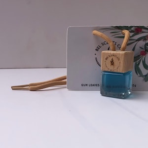 Car Freshie | car air freshener | hanging diffuser | gifts for men | Xmas gift