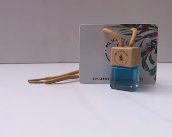 Ambientador para coche / difusor colgante / regalo para hombre / regalo de Navidad