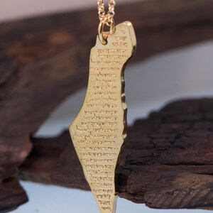 May include: A gold-colored pendant necklace featuring a map of Israel with Hebrew text. The pendant is suspended from a delicate gold chain. The necklace is displayed against a dark, textured background.