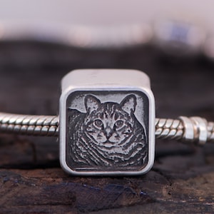 PET Engraved Photo Charm - Sterling Silver fits Pandora Bracelets.