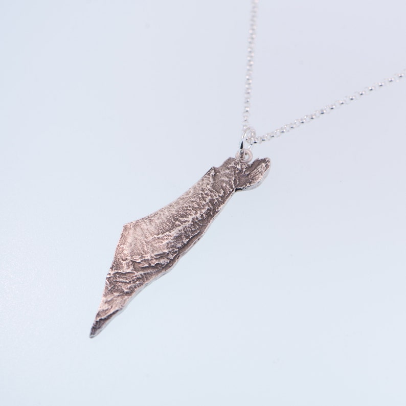May include: A silver-toned pendant shaped like the geographic outline of Israel, featuring a textured, rugged surface that mimics topographical terrain. The pendant hangs from a delicate, thin silver-toned chain with small, round, interconnected links.