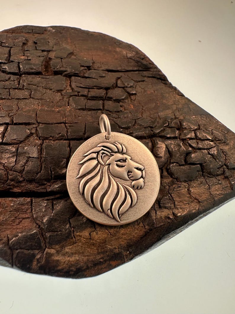 Rising Lion, Operation Roaring Lion pendant, Jewelry, Strength & Protection Amulet, Judaica Gift. image 3