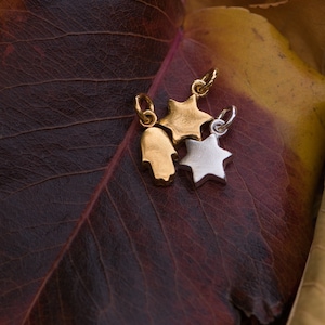 May include: Three small charms: a gold Hamsa hand, a gold star, and a silver star. The charms are on a dark red and brown leaf with yellow and brown accents. The charms have small loops for hanging.