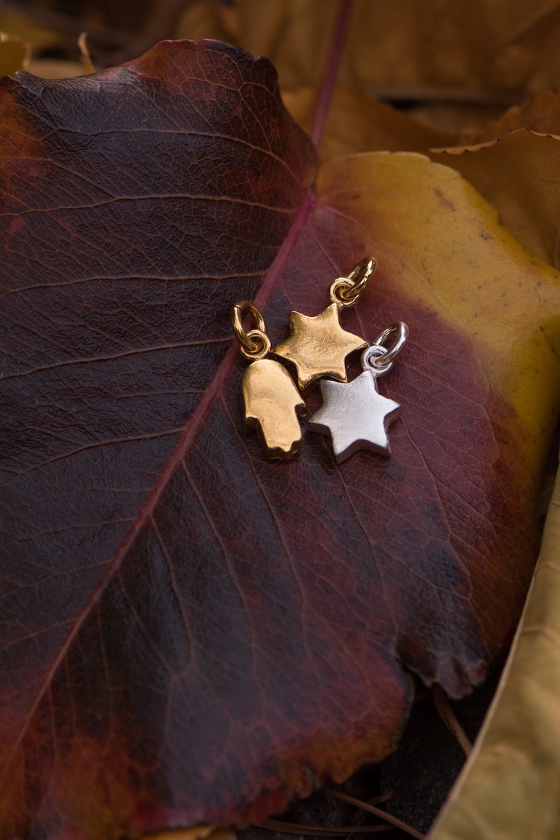 May include: Three small charms: a gold Hamsa hand, a gold star, and a silver star. The charms are on a dark red and brown leaf with yellow and brown accents. The charms have small loops for hanging.