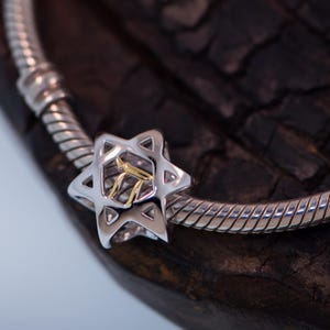 K&ouml;nnte beinhalten: Ein silbernes Armband mit einem silbernen und goldenen Davidstern-Anh&auml;nger. Der Anh&auml;nger ist mit einem hebr&auml;ischen Buchstaben in der Mitte verziert.