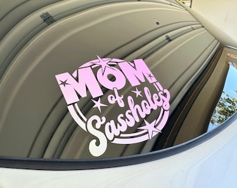 Mom of Sassholes Car Decal: Funny Momlife Vinyl Decal