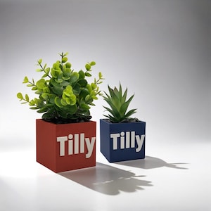 Custom Box Text Planter | Box with Text Pot | Modern Box Pot | Decorative Indoor Box Pot | Cactus Planter | 3D Custom Text Pot