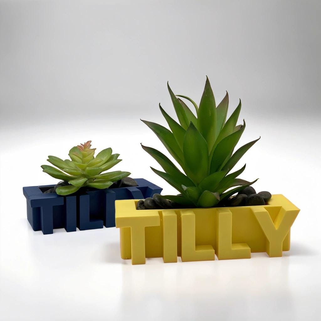 Name Planter | Word Planter | Custom Name | Custom Name Planter | Personalized 3D Printed Planter | Custom Word Planter | Name Pot - USA