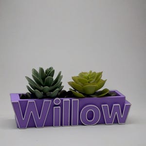 Name Outline Planter | Name Outline Pot | Custom Name | Name Planter | Custom Name Planter | Custom Word Pot | 3D Printed Name Planter - CAN