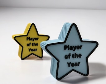 Custom Text Star Award | Personalized Star Award | Custom 3D Printed Award | 3D Printed Star Achievement Trophy | Star Employee Award - USA