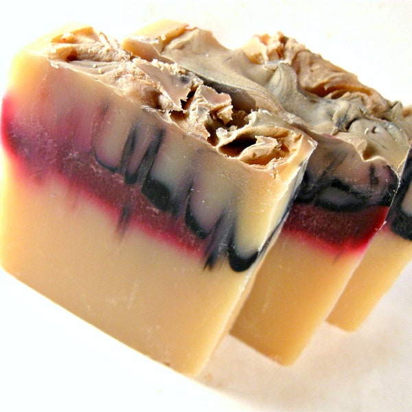 Vampire Soap - Cold Process Soap - Bar Soap - Palm Oil Free - Bite Me Soap - Phthalate Free Fragrance - Fruit Punch Scent