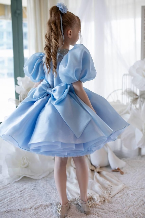 Blue Daisy Dress Baby Blue Flower Dress Princess Daisy Blue Tutu Dress Puff  Sleeve Flower Girl