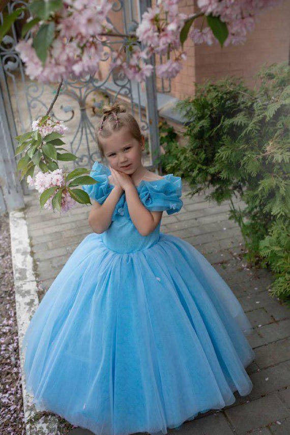Blue Tulle Party Dress for Toddler | Princess Dress for Birthdays | Baby Girl Gown