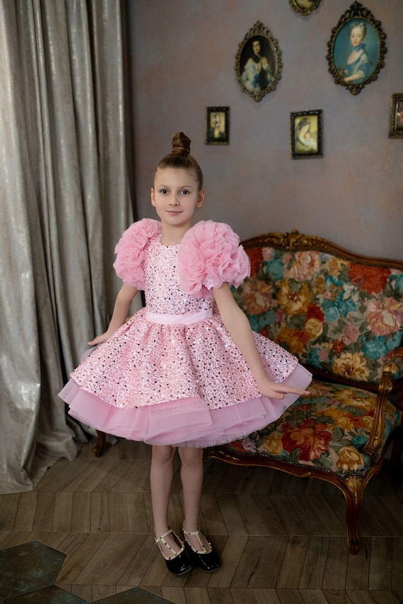 Pink Sparkling Tutu Dress for Girls | Pageant, Birthday Baby Dress | Puffy Sleeve Princess Dress 5T, Toddler Girl Dress, First Birthday Girl Pink Sparkling Tutu Dress for Girls | Pageant, Birthday Baby Dress | Puffy Sleeve Princess Dress 5T, Toddler Girl Dress, First Birthday Girl