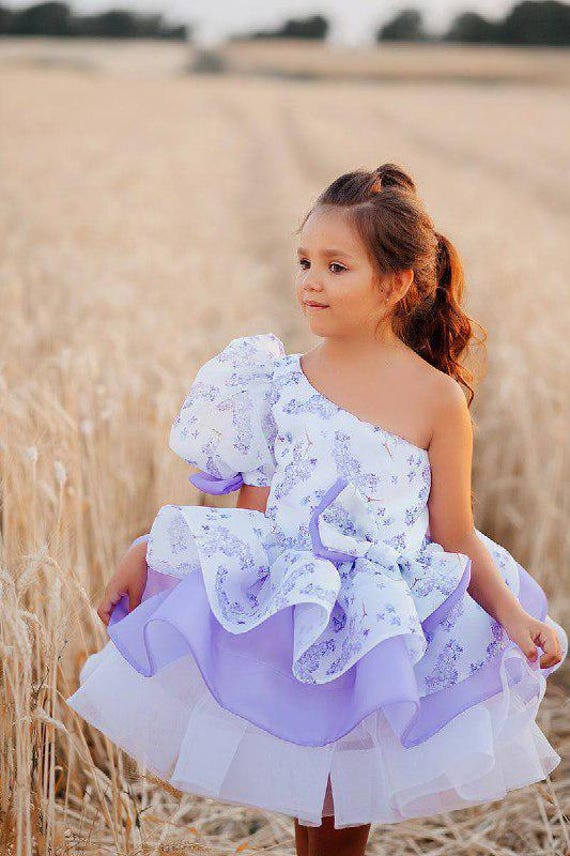 princess dress first birthday Blush Girl Dress, Peach Princess Dress, 1st Birthday Dress, Toddler Gown Dress, Girl Flower Dress, First Communion Dress, Christening Dress