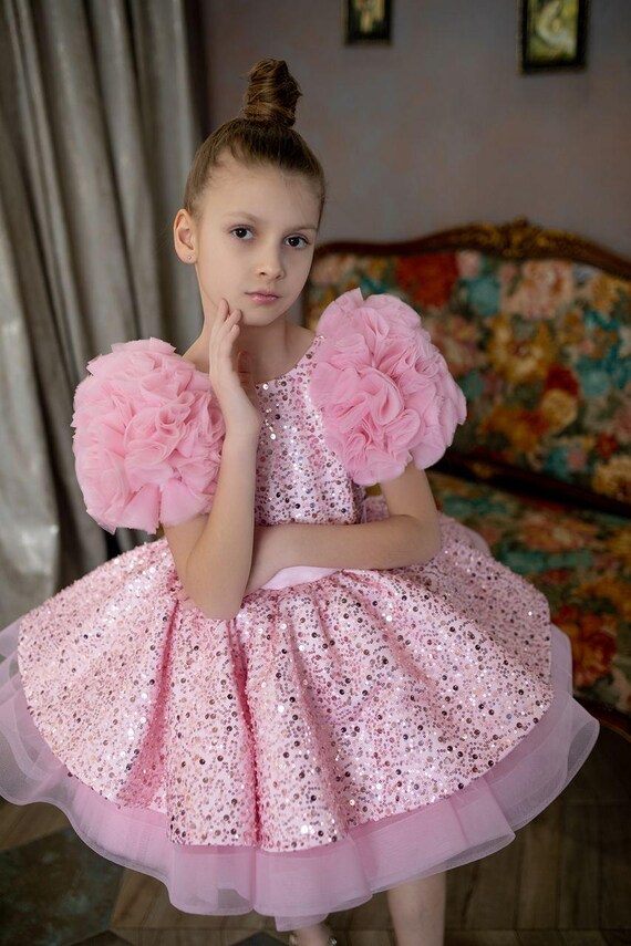 Pink Sparkling Tutu Dress for Girls | Pageant, Birthday Baby Dress | Puffy Sleeve Princess Dress 5T, Toddler Girl Dress, First Birthday Girl Pink Sparkling Tutu Dress for Girls | Pageant, Birthday Baby Dress | Puffy Sleeve Princess Dress 5T, Toddler Girl Dress, First Birthday Girl