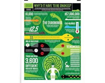 Why'd it Have to be Snakes Infographics Poster