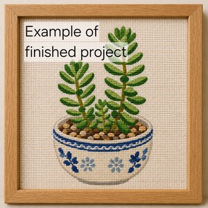 May include: A cross-stitch embroidery of a succulent plant in a blue and white patterned pot, framed in light wood. The text "Example of finished project" is overlaid on the upper left. The plant has green leaves and sits in a pot with blue floral motifs.