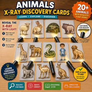 May include: Animals X-Ray Discovery Cards set featuring over 20 illustrated cards of various creatures including a sheep, rabbit, turtle, hippo, giraffe, tiger, snake, human, dog, cat, camel, and kangaroo, each showing skeletal structures when backlit.
