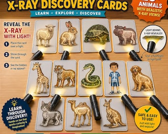 20+ Animal X-Ray Reveal Cards Printable | Flashlight Science Activity | Kids Anatomy Matching Game | Digital Download