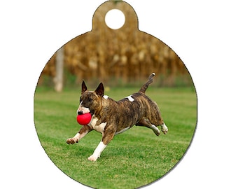Custom Pet ID Tag, Your Photo or Image on the Front, your contact info on the back