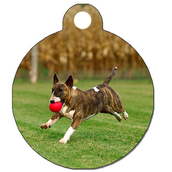 Custom Pet ID Tag, Your Photo or Image on the Front, your contact info on the back