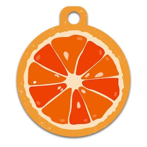 Médaille d'identification pour animal de compagnie, chien, chat, tranche d'orange, coordonnées au dos, couleurs à personnaliser