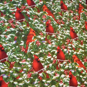 Kerststof kardinalen op hulsttakken van inspiratie