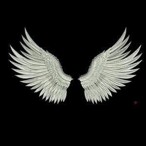 Op de afbeelding: Gedetailleerde illustratie van twee witte engelen vleugels tegen een zwarte achtergrond. De vleugels zijn weergegeven met ingewikkelde veerdetaillering, waardoor een textuur ontstaat. Het ontwerp is symmetrisch en gecentreerd.