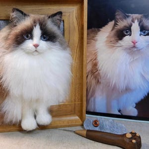 May include: A framed, three-dimensional cat sculpture with a fluffy white and brown coat, blue eyes, and a pink nose. The cat is set in a wooden frame. A photo of a similar cat is next to the sculpture. A craft tool is in the foreground.