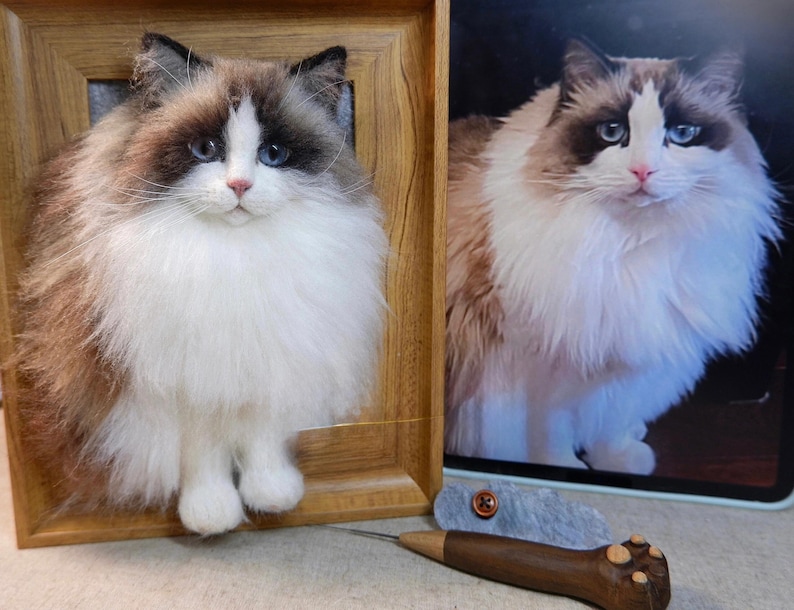 May include: A framed, three-dimensional cat sculpture with a fluffy white and brown coat, blue eyes, and a pink nose. The cat is set in a wooden frame. A photo of a similar cat is next to the sculpture. A craft tool is in the foreground.