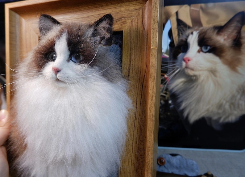 May include: A framed portrait of a Ragdoll cat with blue eyes, brown and white fur, and a pink nose. The cat is fluffy and has long whiskers. Another image of the cat is visible in the background.