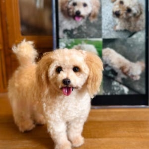 Custom Dog Replica, Custom Wool Felt Dog Portrait, Needle Felted Animal Figurine, Pet Loss Memorial, Anniversary Gift for Pet Lover
