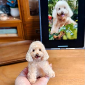 Custom Dog Replica, Custom Wool Felt Dog Portrait, Needle Felted Animal Figurine, Pet Loss Memorial, Anniversary Gift for Pet Lover