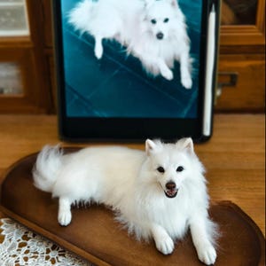 Custom Needle Felted Dog Portrait: 3D Wool Pet Replica, Handmade Wool Figurine