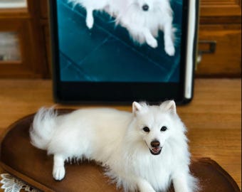 Custom Needle Felted Dog Portrait: 3D Wool Pet Replica, Handmade Wool Figurine