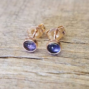 Peut inclure: Une paire de boucles d'oreilles clous en or rose avec de petites pierres précieuses rondes et violettes.