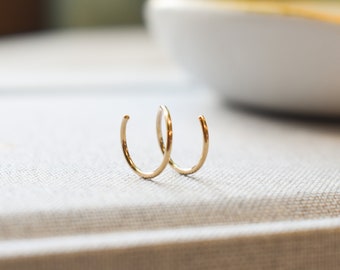 Double Hoop Earring