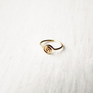 Spiral Nose Hoop Tragus Hoop 14k Gold Fill image 1